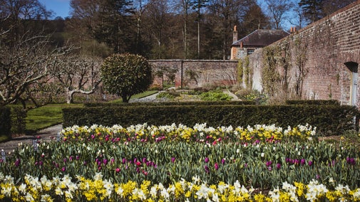 Llanerchaeron Spring garden